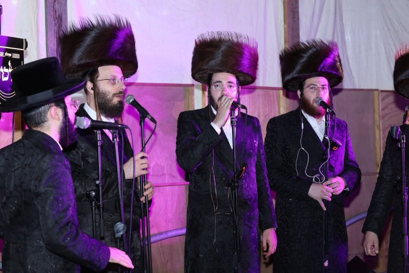 נועם אליהו