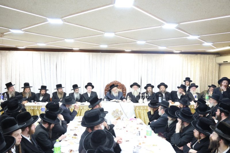 שלומי טריכטר