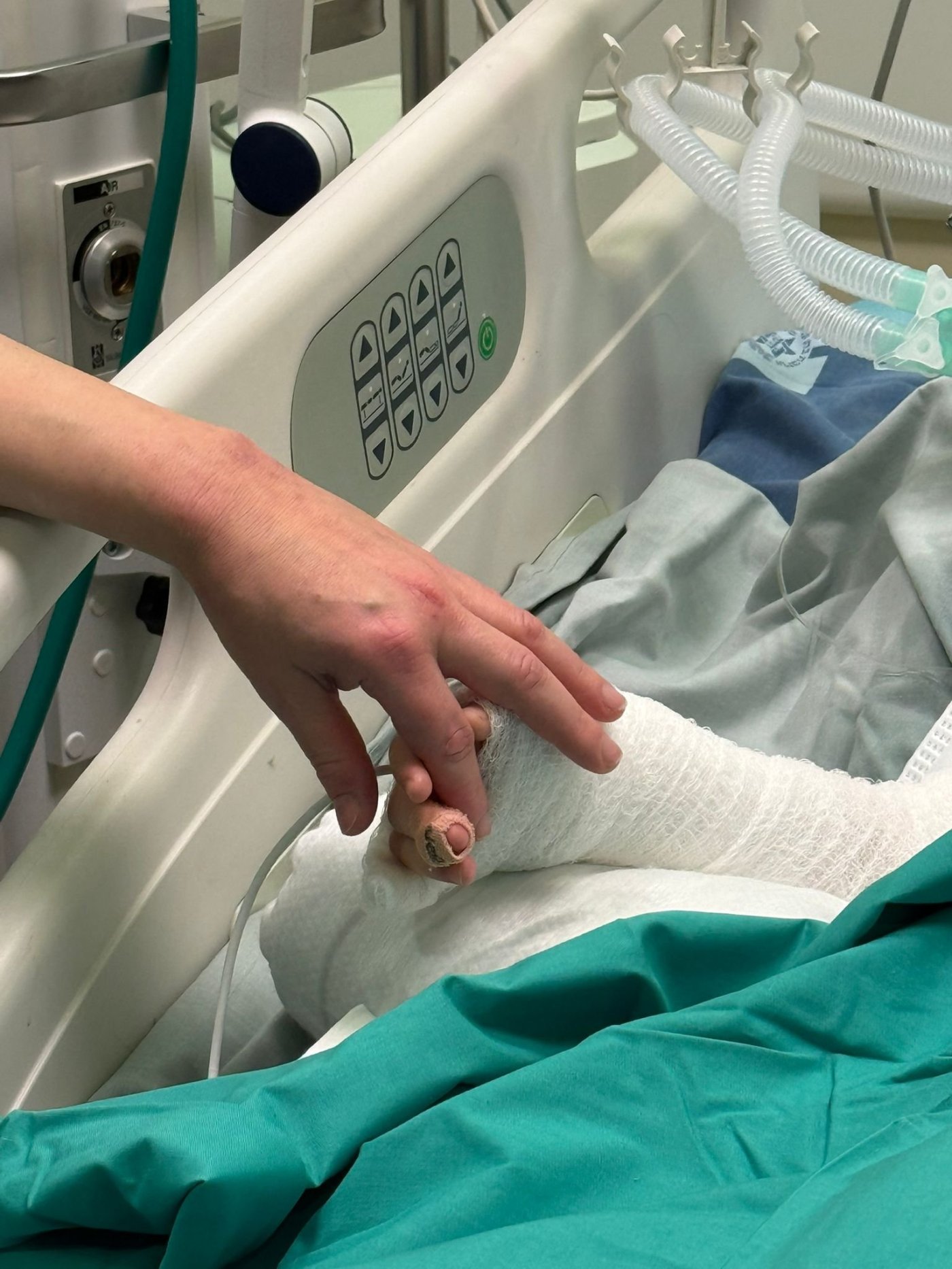 דוברות הדסה