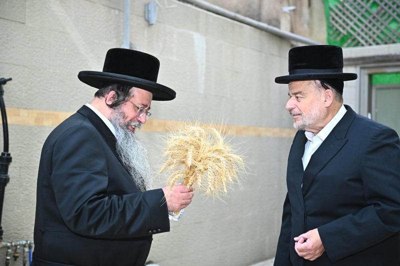 שוקי לרר