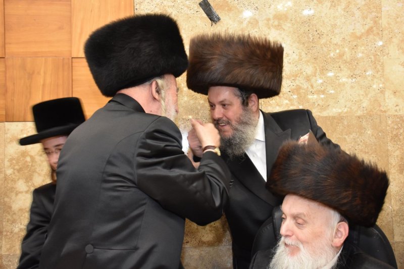 יהודה פרקוביץ