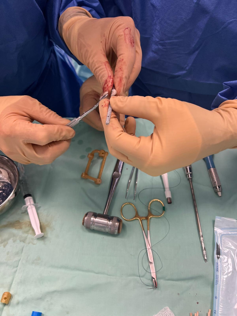 בית החולים לחיות בר בספארי