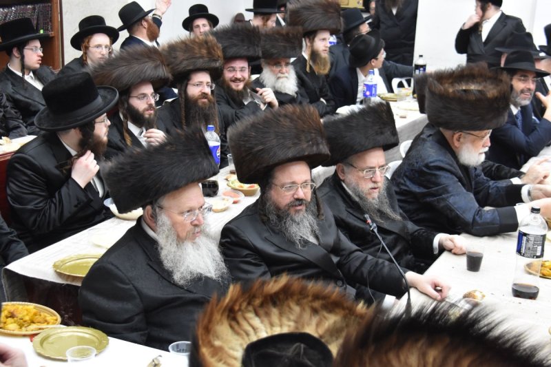 יהודה פרקוביץ