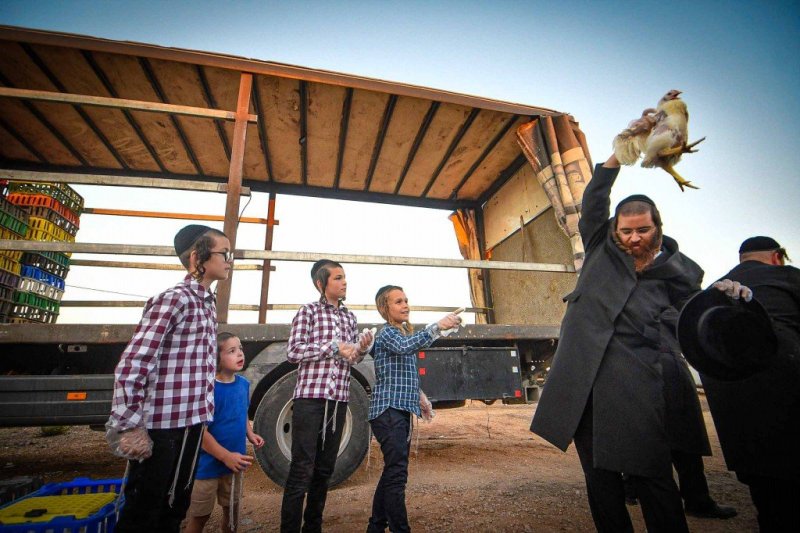 ארי קופרשטוק