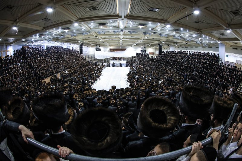 משה גולדשטיין