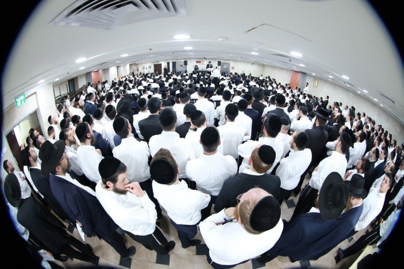 שלומי טריכטר