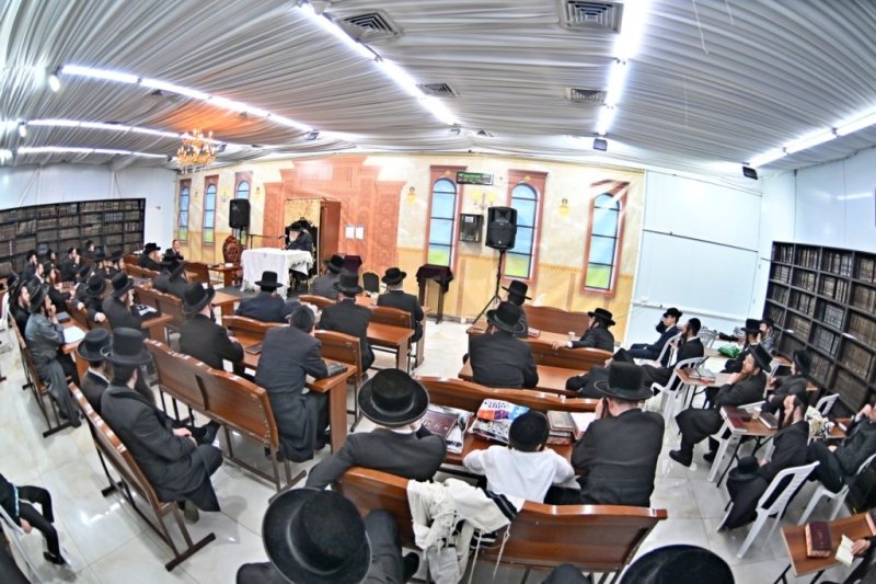 יהושע פרוכטר