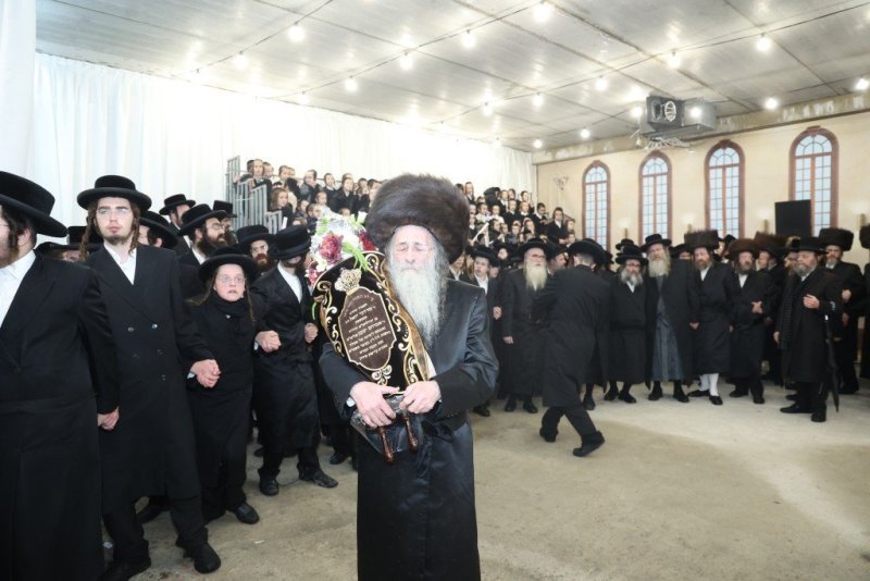 שלומי טריכטר