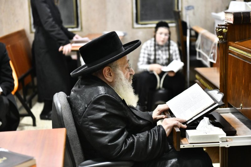 שוקי לרר