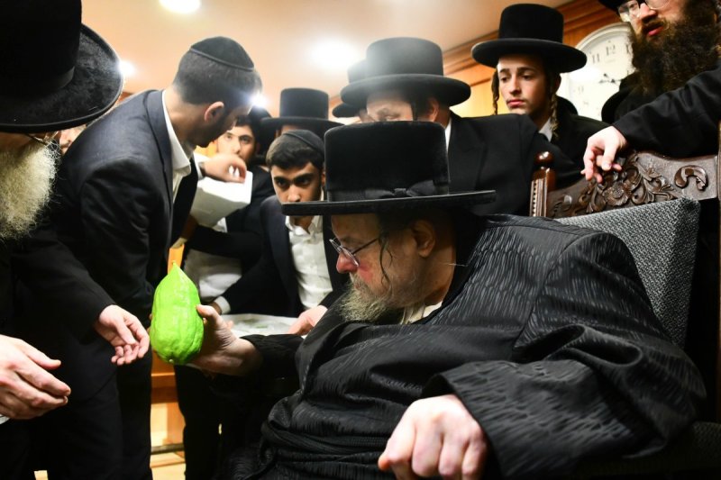 שוקי לרר