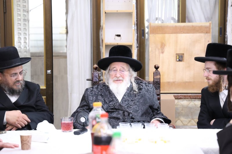 שלוימי טרייכטר