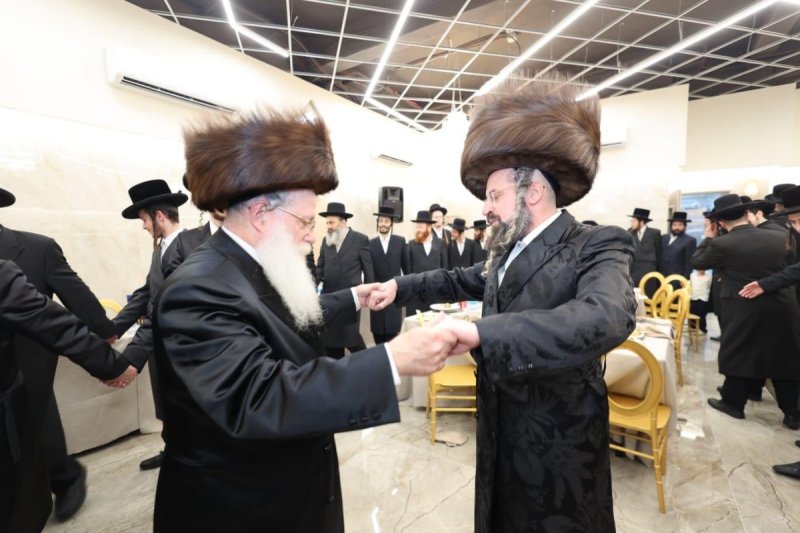 שלומי טריכטר