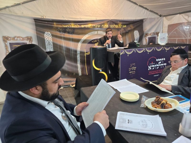 אלחנן קוטלר