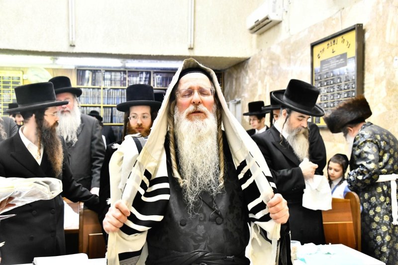 שוקי לרר
