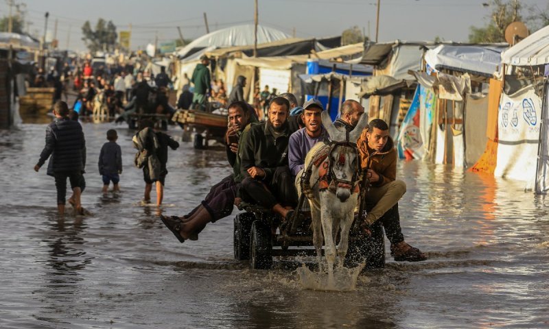 הלמ"ס הפלסטינית: אוכלוסיית עזה הצטמצמה ביותר מרבע מיליון 