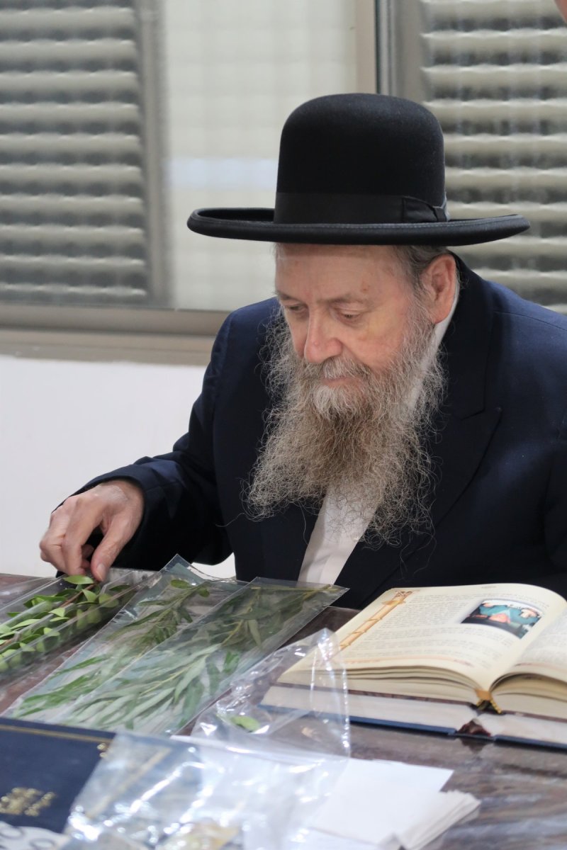 י. פריד