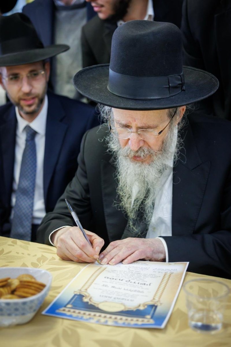 דניאל נפוסי ומאיר זלזניק