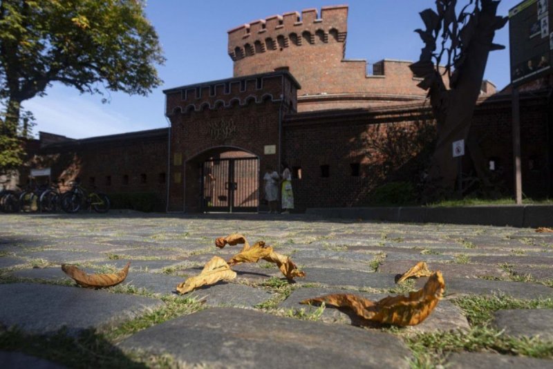 מוזיאון הענבר