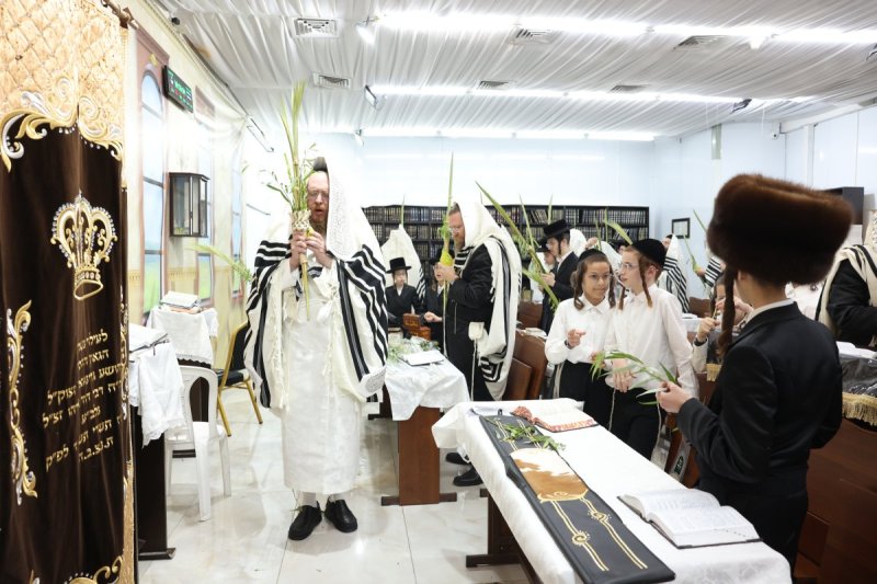 באדיבות המצלם