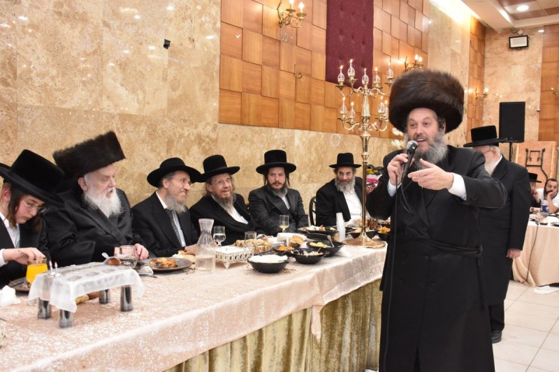 יהודה פרקוביץ