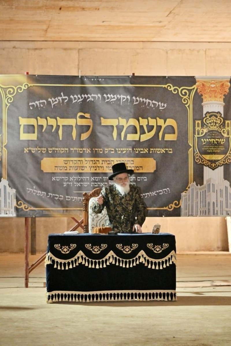 יהושע פרוכטר