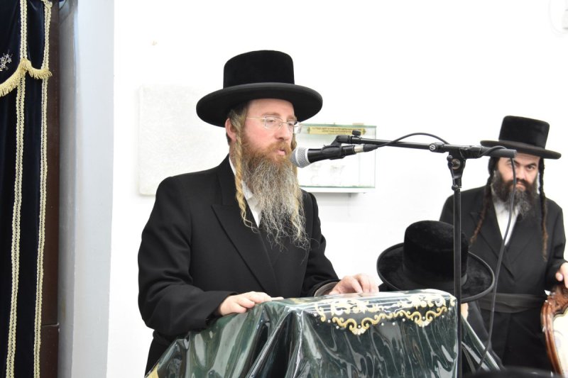 יהודה פרקוביץ