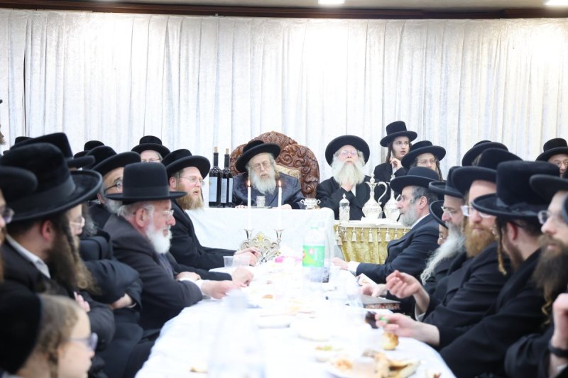 שלומי טריכטר