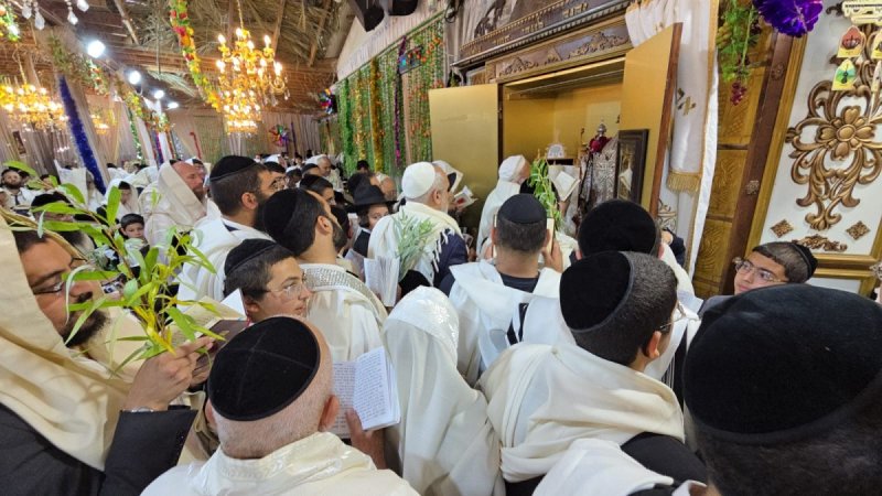 שלומי טריכטר ומ.פ