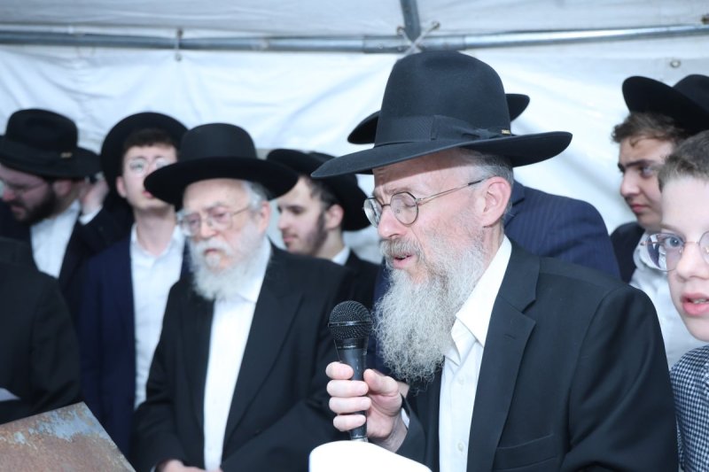 שלומי טריכטר
