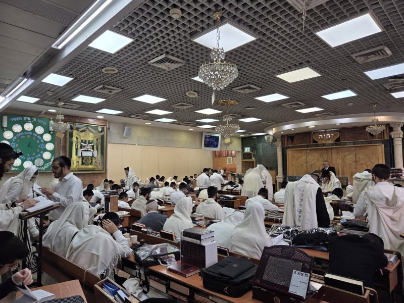 באדיבות המצלם