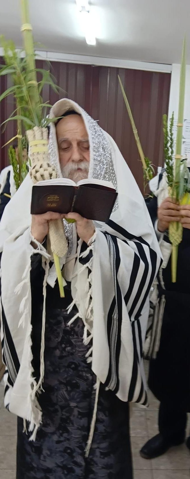 איתי קצב