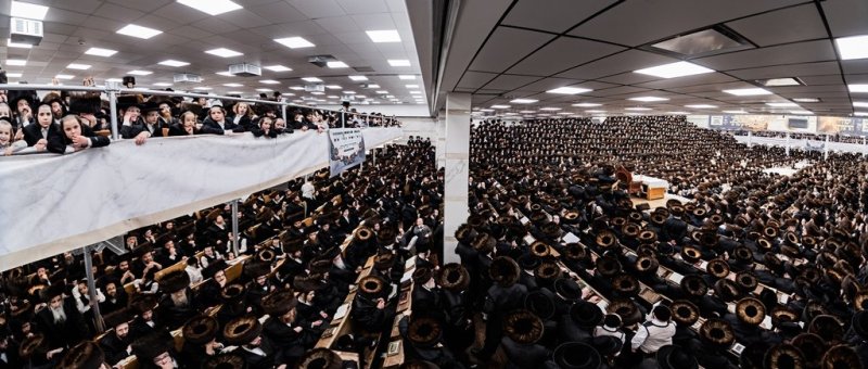 י. שטיין