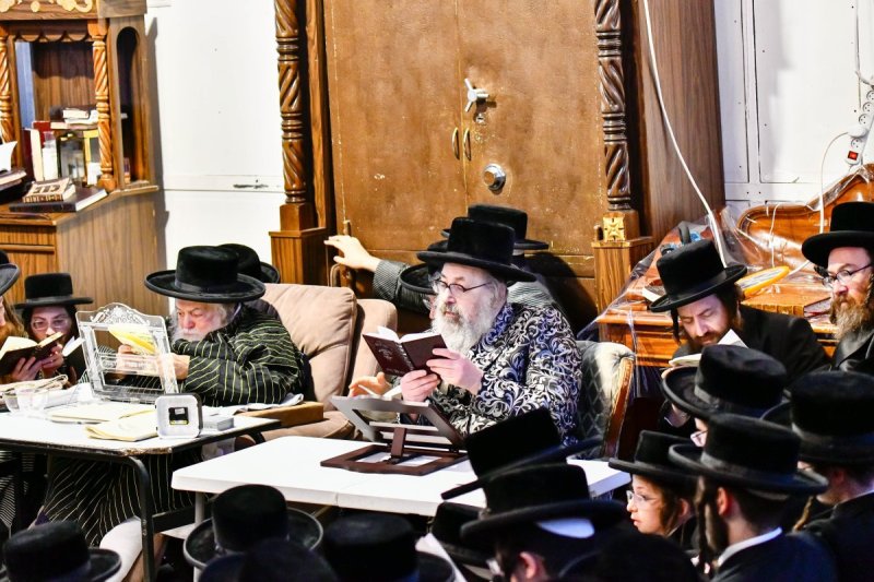 שוקי לרר