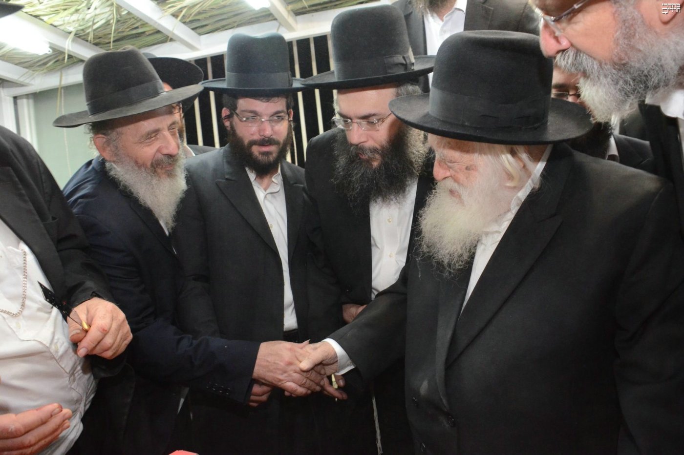 שוקי לרר