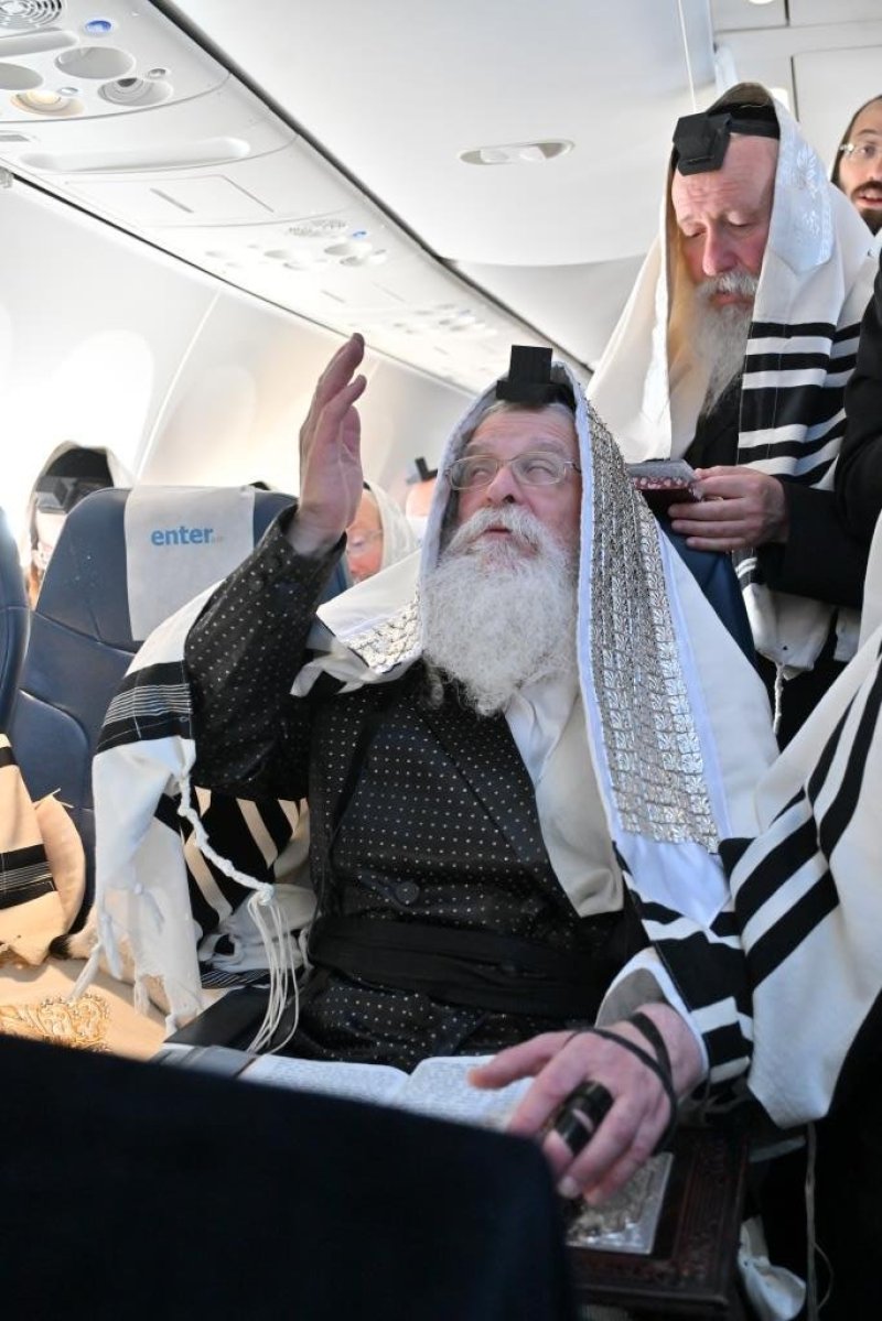 יהושע פרוכטר