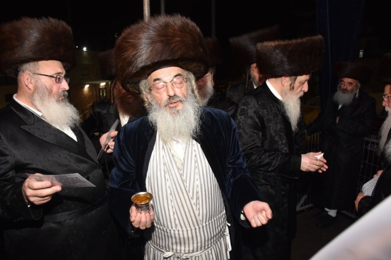 יהודה פרקוביץ