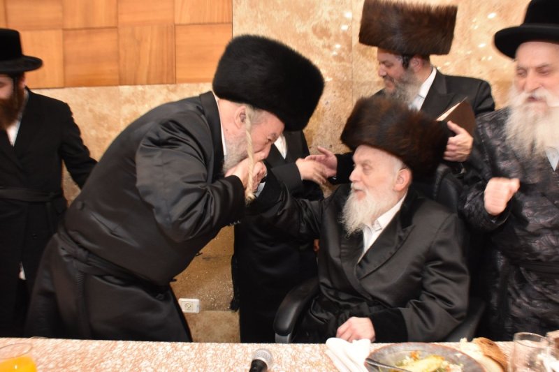 יהודה פרקוביץ