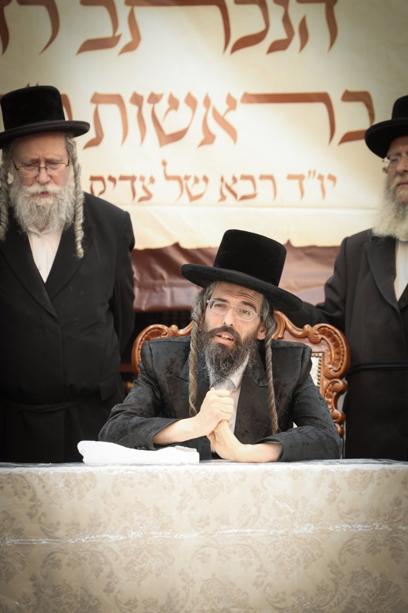 דוד ארזני