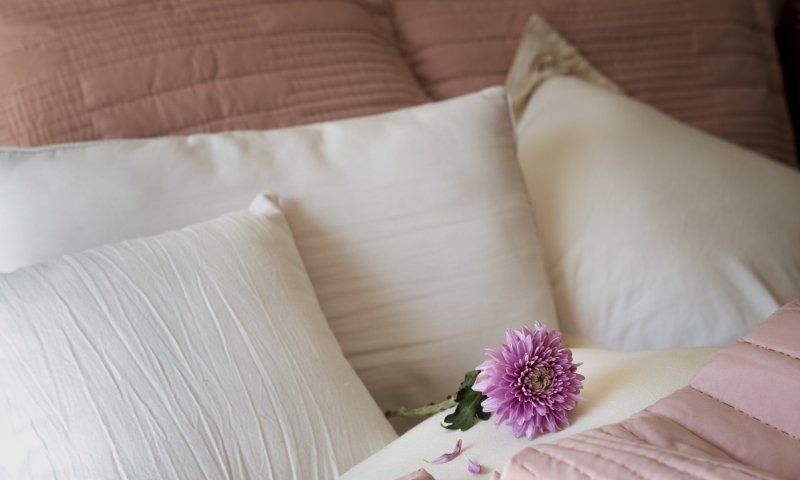 כרית של מומחית: הקושי למצוא מוכרים שמבינים / אפרת ברזל