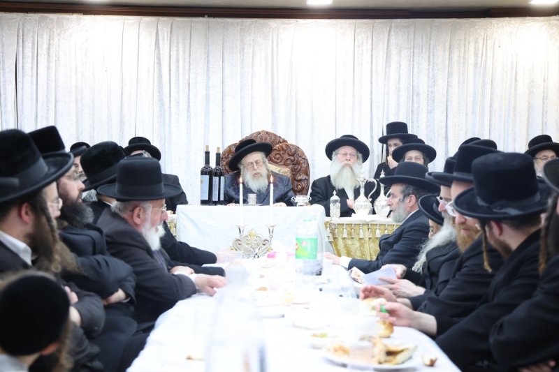 שלומי טריכטר