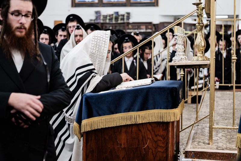 י. שטיין