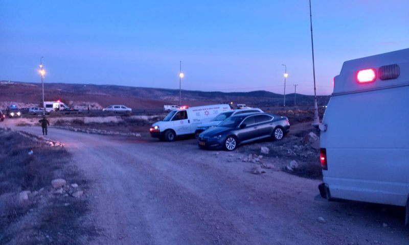 סגנית שר החוץ: "השמאל האנרכיסטי מנהל קמפיין שקרי נגד ההתיישבות"