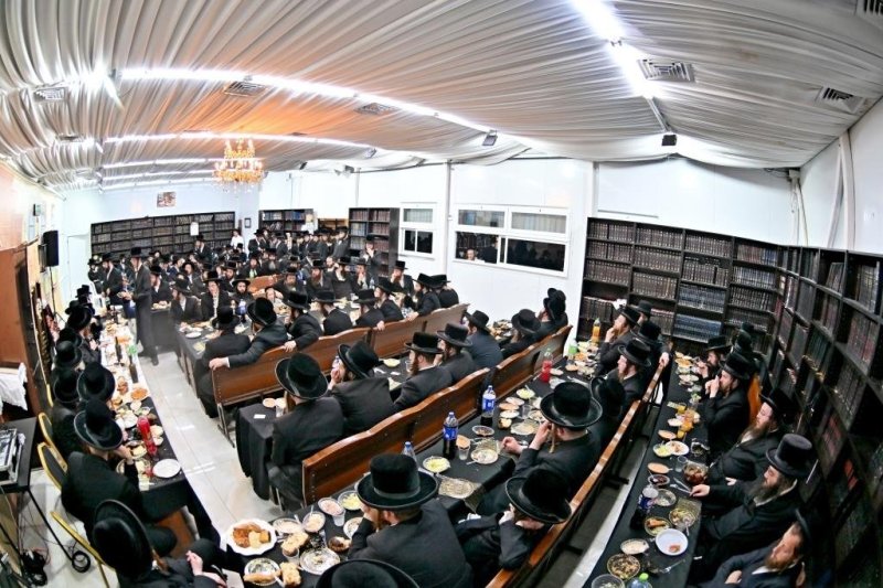 יהושע פרוכטר