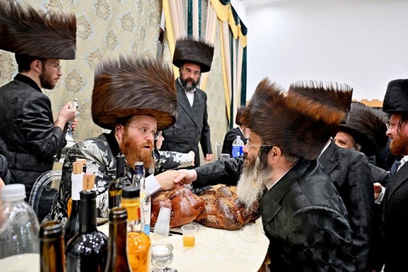 יהושע פרוכטר