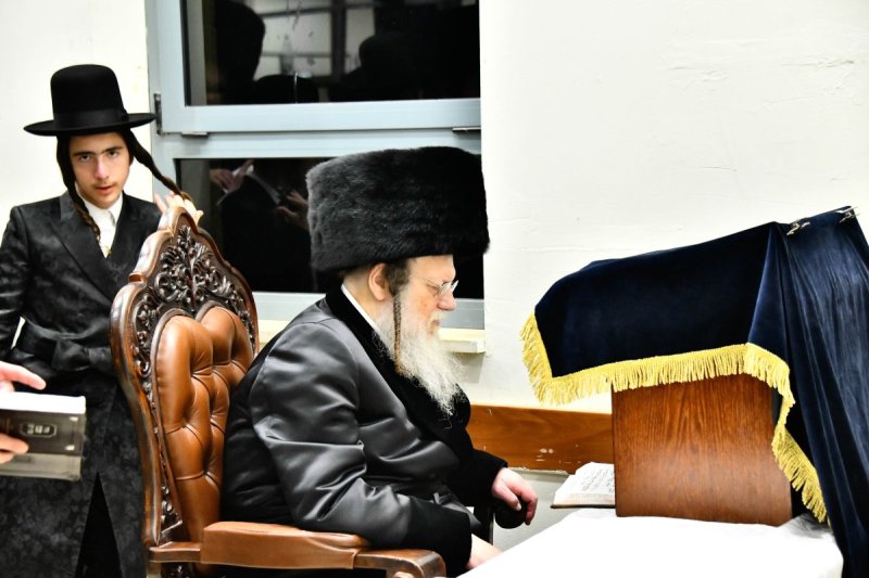 שוקי לרר