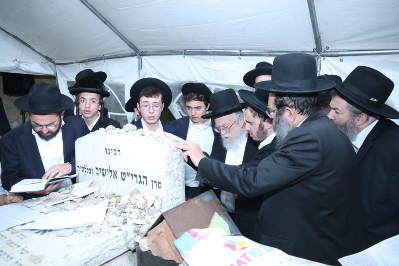 שלומי טריכטר