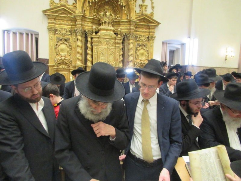 באדיבות המצלם