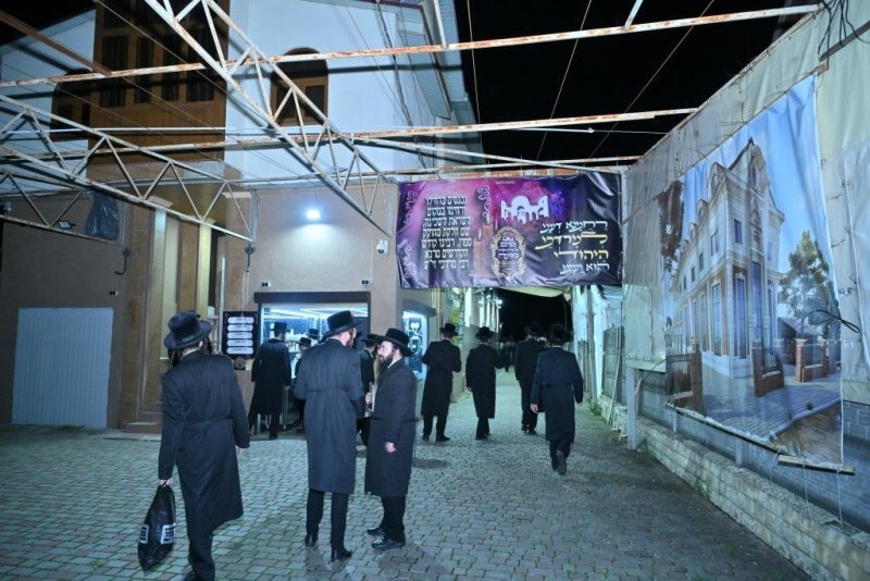 יהושע פרוכטר