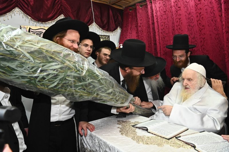 שוקי לרר ושמואל דריי