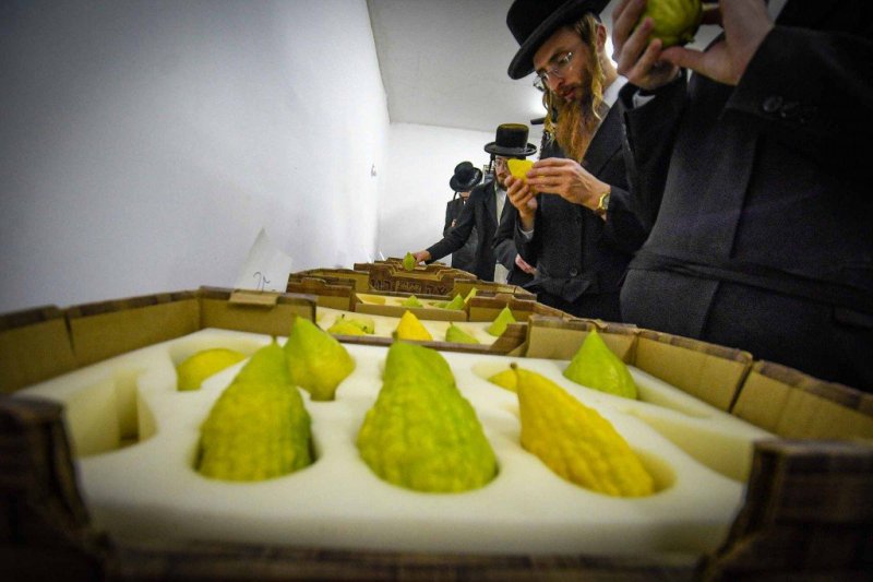 ארי קופרשטוק